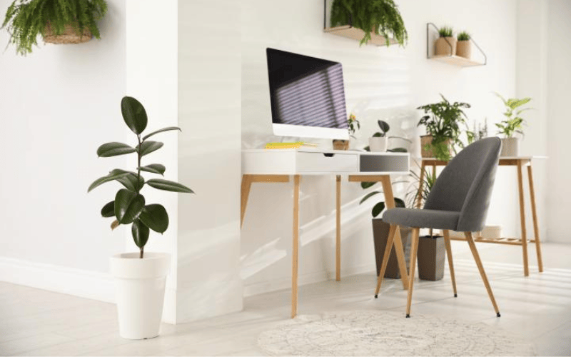 Work From Home Setup