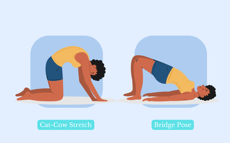 Lower Back Pain Beneficial Stretches and Exercises