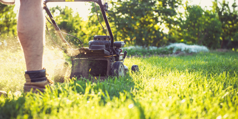 Mowing With a Traditional Lawn Mower