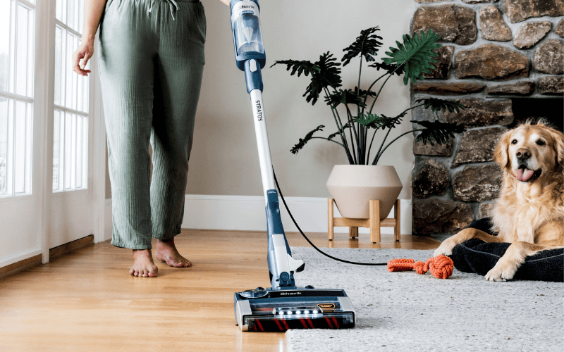 12 Best Stick Vacuums Available in Australia [2024]