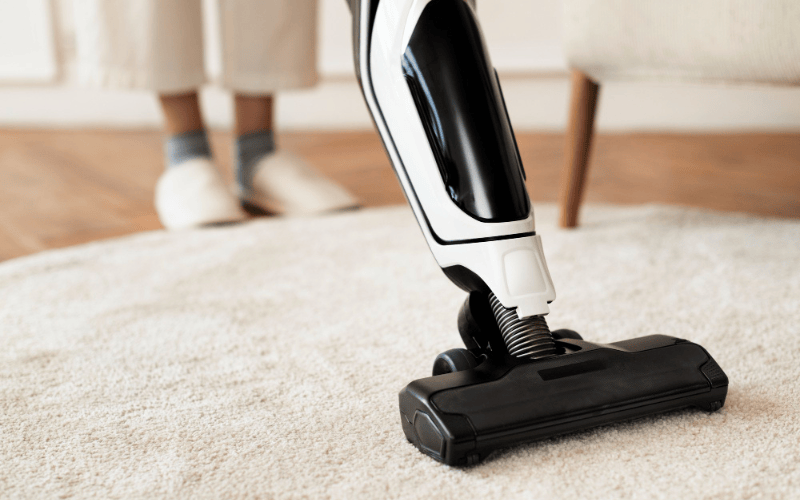 Choosing a Vacuum Cleaner