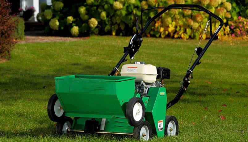 The Ultimate Guide to Lawn Scarification