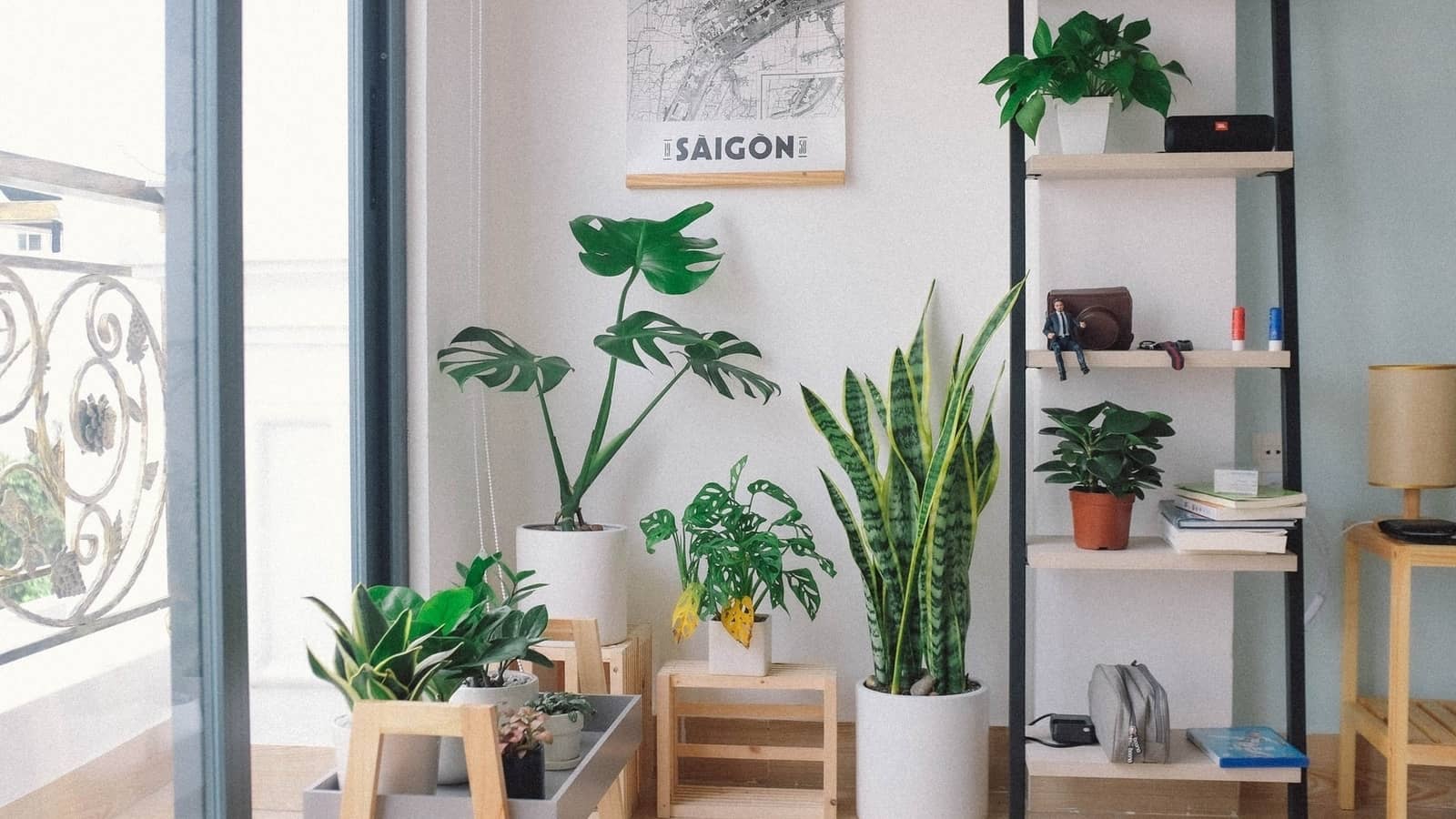 How to Organize a Green Corner in Your Room