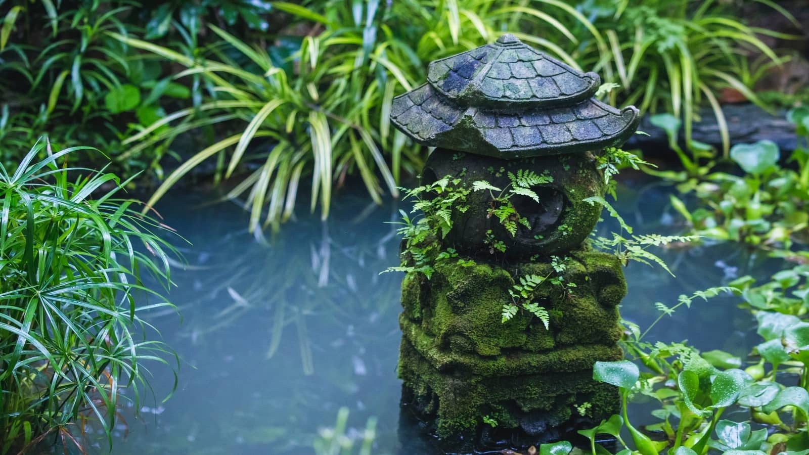 How to Turn Your Yard Into a Sustainable Ecosystem