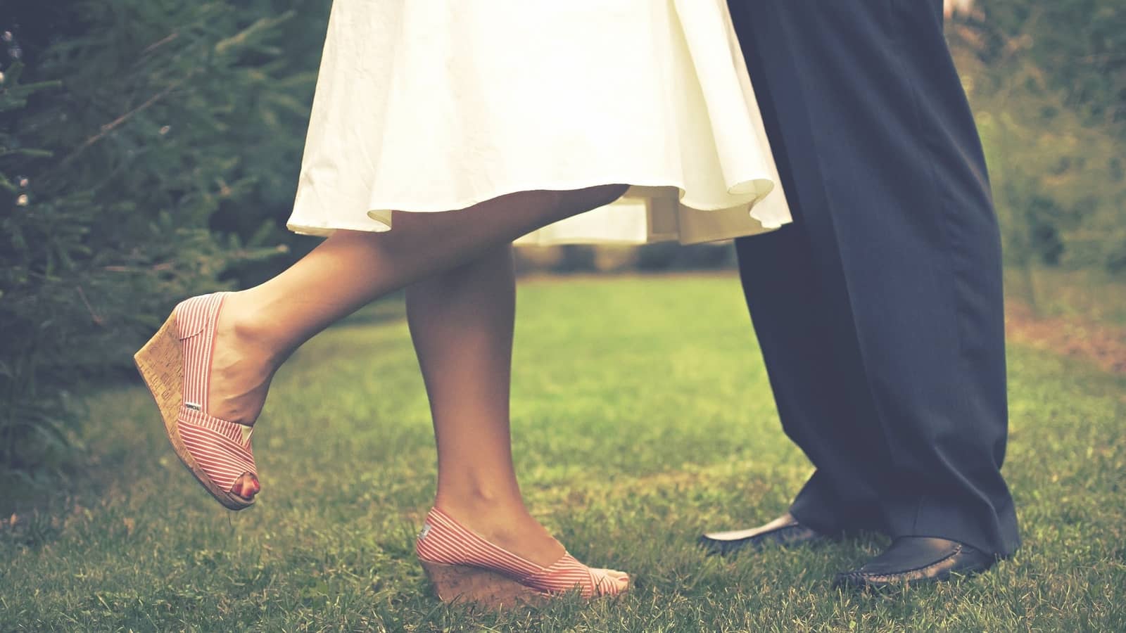 Top 8 Gardening Tips that Can Help When Divorcing