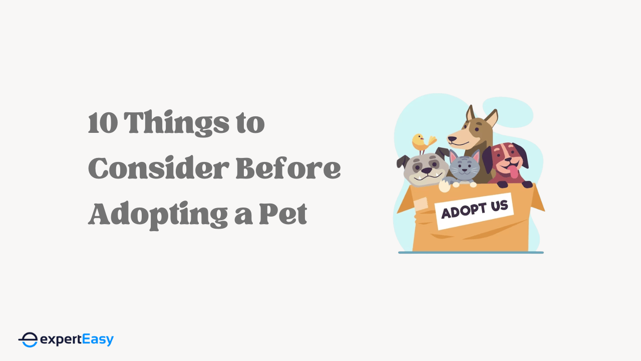 10 Things to Consider Before Adopting a Pet