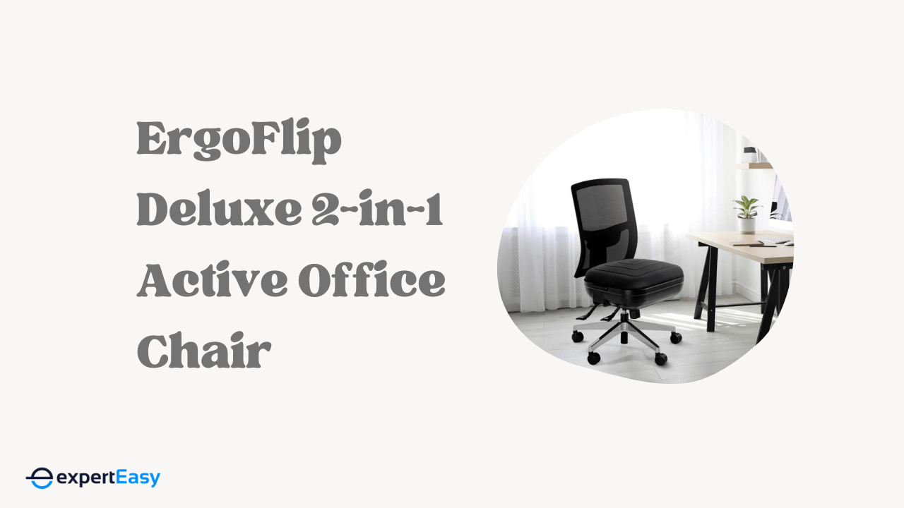 ErgoFlip Deluxe 2-in-1 Active Office Chair Review
