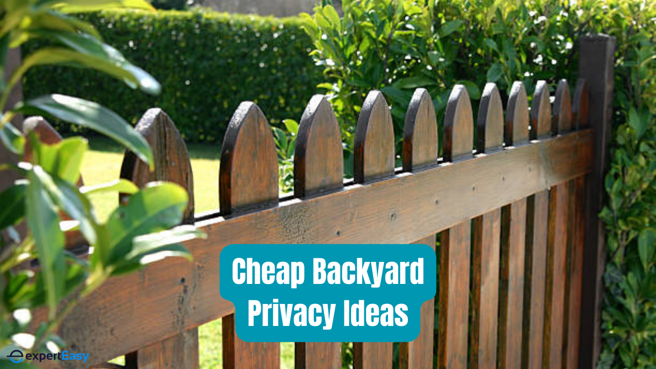 Backyard Privacy Ideas: 11 Cheap Ways to Block Neighbours’ View