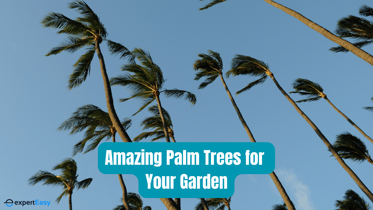30 Amazing Palm Trees for Your Australian Garden