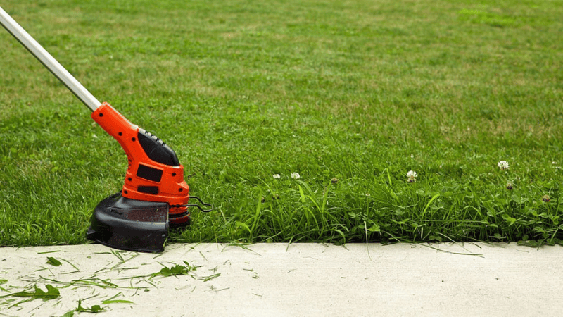 9 Best Whipper Snippers in Australia (2025)