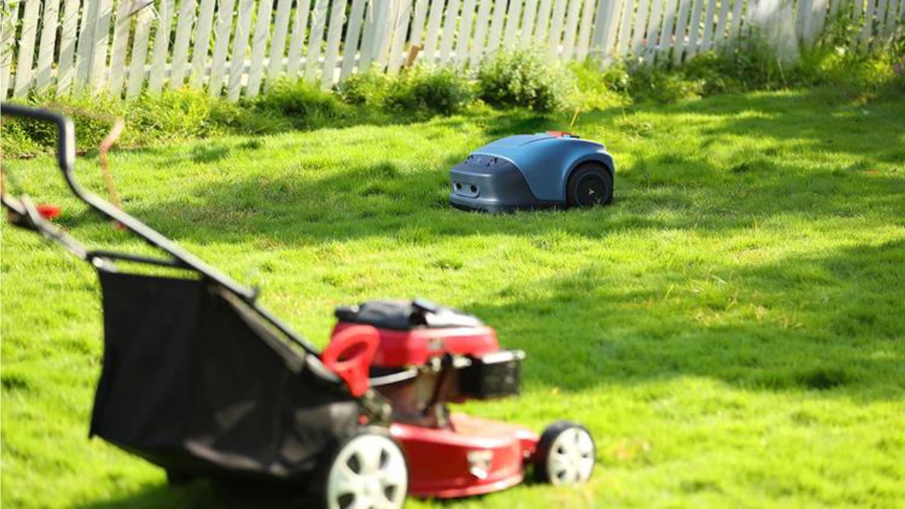 What to Choose: Robotic Lawn Mower or Traditional Lawn Mower?