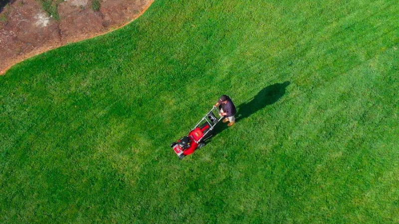 6 Best Easy-Start Petrol Lawn Mowers in Australia (2025)