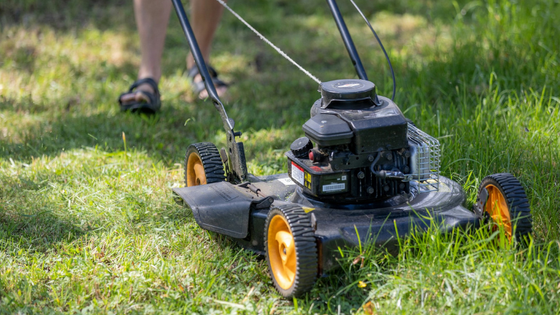 12 Best Lawnmowers in Australia (2025)