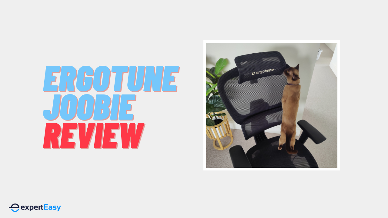 ErgoTune Joobie Review
