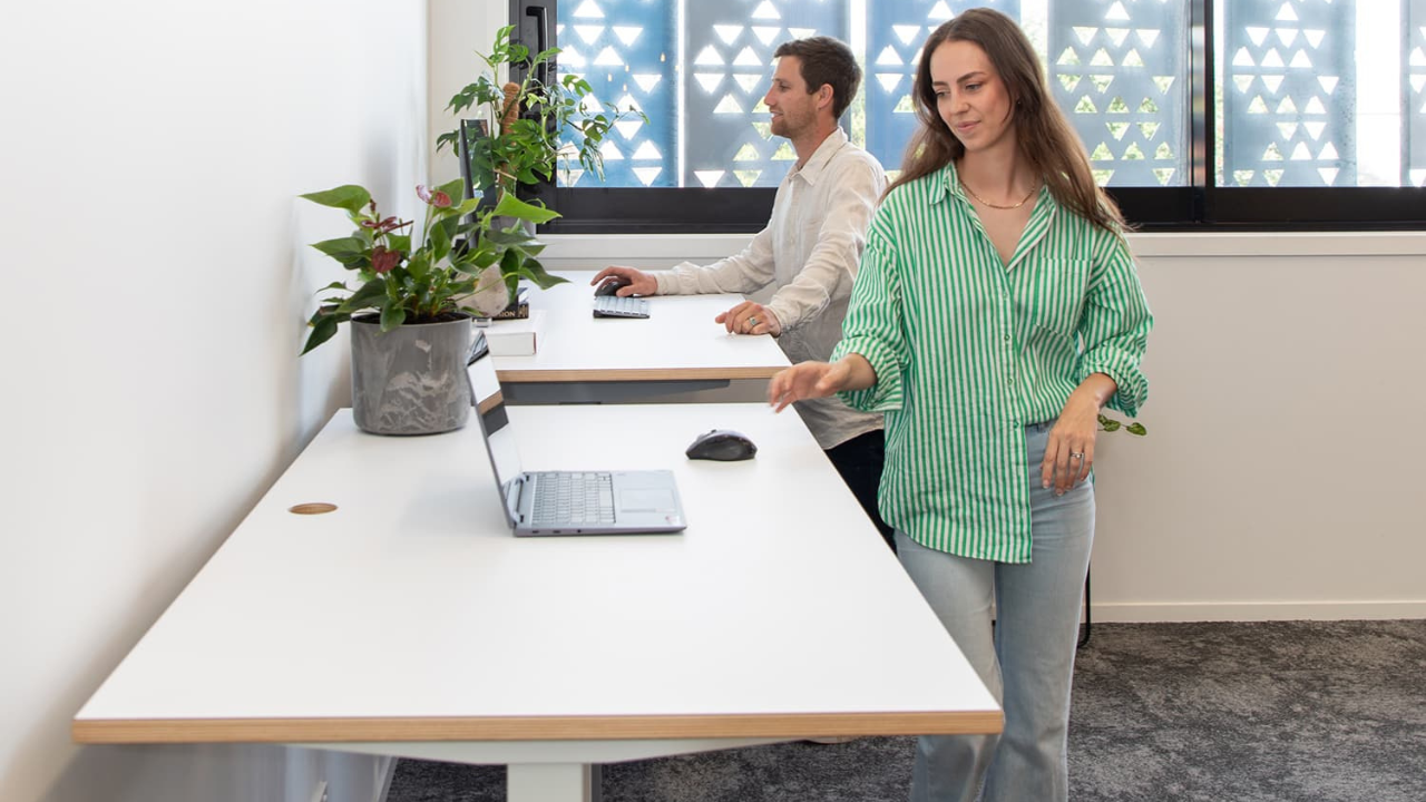 Stand Desk Pro Review