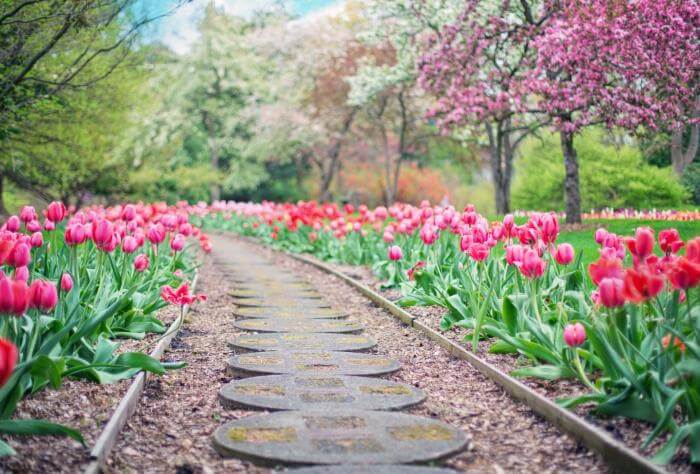 What's the Difference Between a Gardener and a Landscaper?