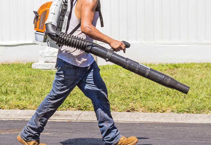 (2020) How Much Do Gardeners Cost?