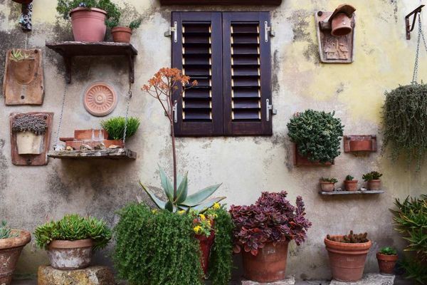 Space Savvy Tips for Small Gardens