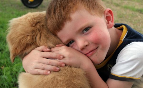 Tips To Help You Prepare Your Home for a New Dog