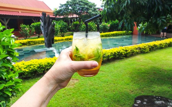 10 Best Garden Gadgets (2020)