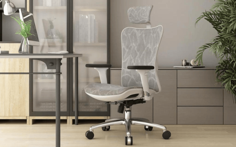 Best Office Chairs for Lower Back Pain in Australia (2024)