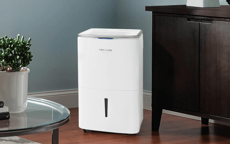 7 Best Dehumidifiers in New Zealand (2024)