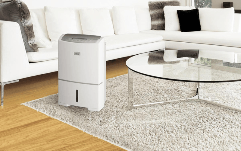 7 Best Dehumidifiers in New Zealand (2024)