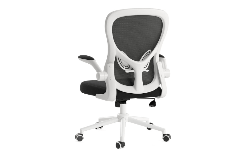 Best Office Chairs for Lower Back Pain in Australia (2024)