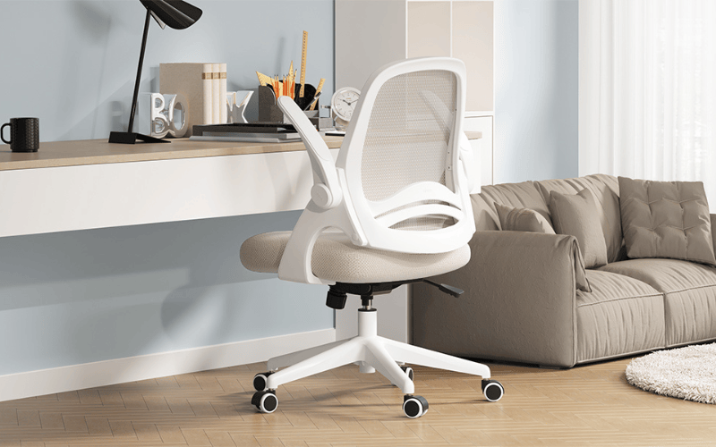 Best Office Chairs for Lower Back Pain in Australia (2024)
