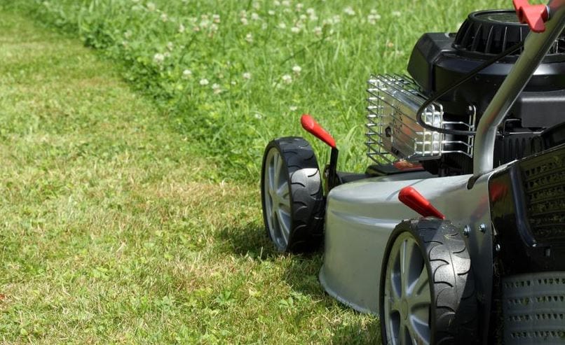 How Much Should I Charge for Lawn Mowing?
